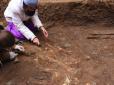 На Росії археологи виявили незвичайне поховання вождя скіфів (фото)