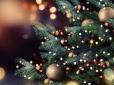 Свято наближається: Скільки цього року коштуватимуть новорічні ялинки для українців