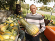 Кавбуз: Фермер на Львівщині вирощує гібрид кавуна і гарбуза (фото)
