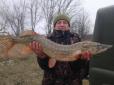 Оце так риболовля! Мешканець Дніпропетровщини зловив дивовижно велику щуку (фотофакт)