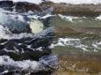 Критично обмілів: На Одещині рятують унікальний Куяльницький лиман (відео)