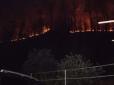 Святкували із вогником: У РФ через феєрверки спалахнула лісова пожежа (відео)