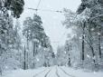 Зимова казка: Фото дороги в Пущу-Водицю облетіли мережу
