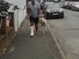 Пес прикинувся кульгавим, щоб підтримати господаря з переломом - відео їхньої прогулянки зворушило мережу