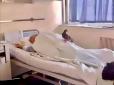 Милота дня: Самотнього пенсіонера у лікарні регулярно провідує ...дикий голуб (фотофакт)