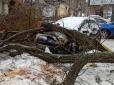 Повалені дерева, постраждали десятки людей: Негода накоїла в Одесі великого лиха (фото, відео)