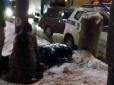 Усе сталося миттєво: У Києві електричка на смерть збила хлопця (фото, відео)