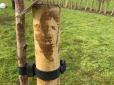 На нього дивилося обличчя Аль Пачіно: Садівник, працюючи з деревами, наткнувся на незвичайний стовп (фотофакт)