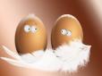 Кулінарний лайфхак: Блогерка показала, як розбити яйце без ножа і стінки сковорідки (відео)