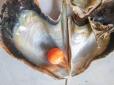 Напередодні бачив пророчий сон: Бідний рибалка знайшов рідкісну помаранчеву перлину вартістю сотні тисяч доларів (фото)