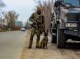 На Донбасі пес допоміг СБУ виявили склад зброї (фото)