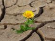 Екологи прогнозують сильну посуху в Україні