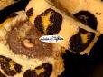 Такий смачний і гарний, що підійде для подарунку: Леопардовий рулет від Лілії Цвіт (відео)