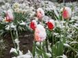 В Україну повернулася зима: Синоптики розповіли, коли закінчаться морози і де буде найхолодніше