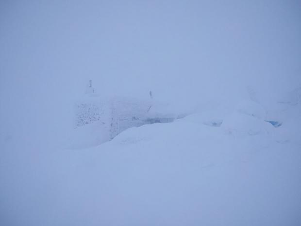Карпати накрила заметіль і засипало снігом: видовищне відео раптової зими