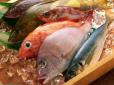 Приваблює низькою ціною, але дуже токсична! Названо найнебезпечнішу рибу на прилавках українських супермаркетів