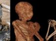Шокуюча мумія: Давньоєгипетський священик на імʼя Хор-Дехуті... виявився вагітною жінкою (фото)