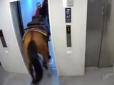 Мистецтво жити, певно, успадковано з Одеси: Як у  Тель-Авіві спробували прокотити коня в ліфті багатоповерхівки (відео)