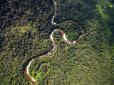 Ліси Амазонки почали отруювати планету: Що сталося із 