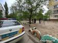 На дитячому майданчику в Сєвєродонецьку пролунав вибух: Постраждала 9-річна дівчинка