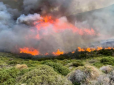 Греція у вогні: У горах поблизу Афін вирує рекордна пожежа