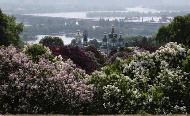 Панорама Києва. Вид з Центрального ботанічного саду на Видубицький монастир