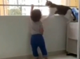 Йди, малечо, звідси: Як кішка не дозволила дитині залізти на перила балкону (відео)
