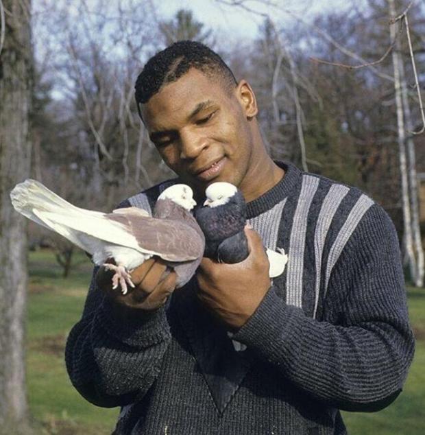 Майк Тайсон із голубами, 1985 рік