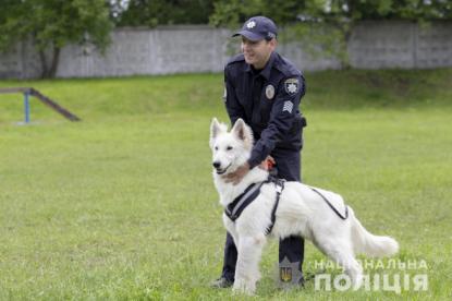 Правоохоронці показали, як на Житомирщині тренують службових поліцейських собак