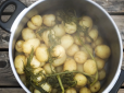 Дуже смачно! Як приготувати молоду картоплю в духовці і на плиті: ТОП-4 апетитних страви