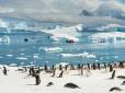 Новозеландці відібрали у росіян честь відкриття Антарктиди