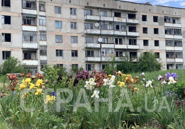 Две жилые квартиры на весь "пятиэтажный" дом. Фото: "Страна"