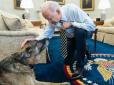 У президента США помер улюблений пес: Чемп прожив у родині Байденів 13 років