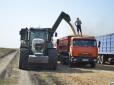 Працівників немає - поїхали до Польщі: Як українські фермери наразі виживають й годують країну без державної допомоги, на відміну від своїх європейських колег і конкурентів