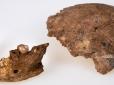 В Ізраїлі знайшли фрагменти черепа стародавньої людини - історія покрита загадкою (фото)