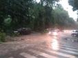 Апокаліпсис у Львові: Через потужну бурю в місті падають дерева та не працює електротранспорт (фото, відео)