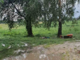 Ховалися під деревом від грози: На Черкащині блискавка вбила двох людей (фото)