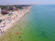 Небезпечні очеретяні комарі і ще багато чого: Туристи поскаржилися на нові неприємності пляжного відпочинку в Україні (фото, відео)