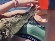 Шок з курорту: У Скадовську чоловік вигулював на пляжі крокодила (відео)