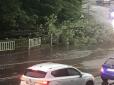 У Львові пройшла потужна буря: дерева повалені, вулиці знеструмлені