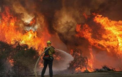 У Росії горять тисячі гектарів лісу: є жертва