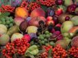 Без яблук, слив й інших фруктів: Фермерка попередила про можливе знищення частини цьогорічного врожаю