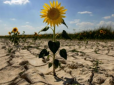 Спека в Україні продовжить бити рекорди: Синоптики розповіли про періоди посухи