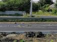 Сморід і жахливе видовище: Під Дніпром дорогу засипали мертвими курками (фото)