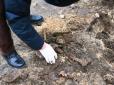 Моторошна знахідка: У Києві неподалік телецентру викопали останки двох людей (фото)