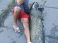 Таких красенів у Києві не ловили давно: Рибалка біля Дарницького мосту спіймав величезного сома (фотофакти)