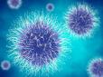 На дні Маріанської западини знайшли невідомі віруси аномально великих розмірів: Довжина генома мімівірусу довше майже в 40 разів за геном коронавірусу, який спровокував пандемію COVID-19