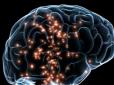 Багато хто цим грішить: Учені назвали головні причини зменшення мозку