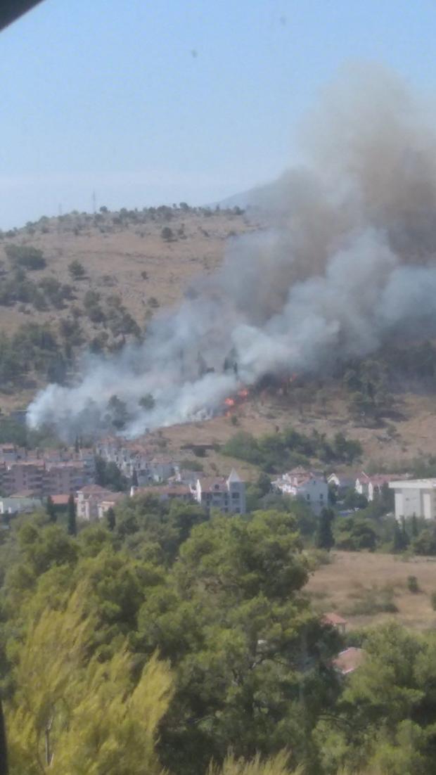 Чорногорію охопили лісові пожежі