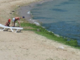 Нічого і не турбувало: На пляжі в Одесі люди приймали сонячні ванни та купалися поряд з трупом